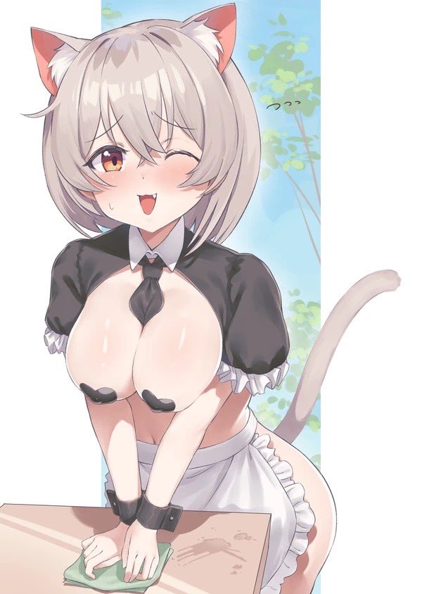 猫の日だからうちの子のモカちゃんでも再掲するか 