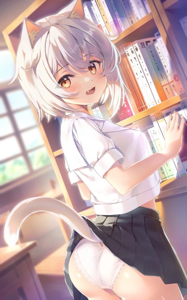 猫の日だからうちの子のモカちゃんでも再掲するか 