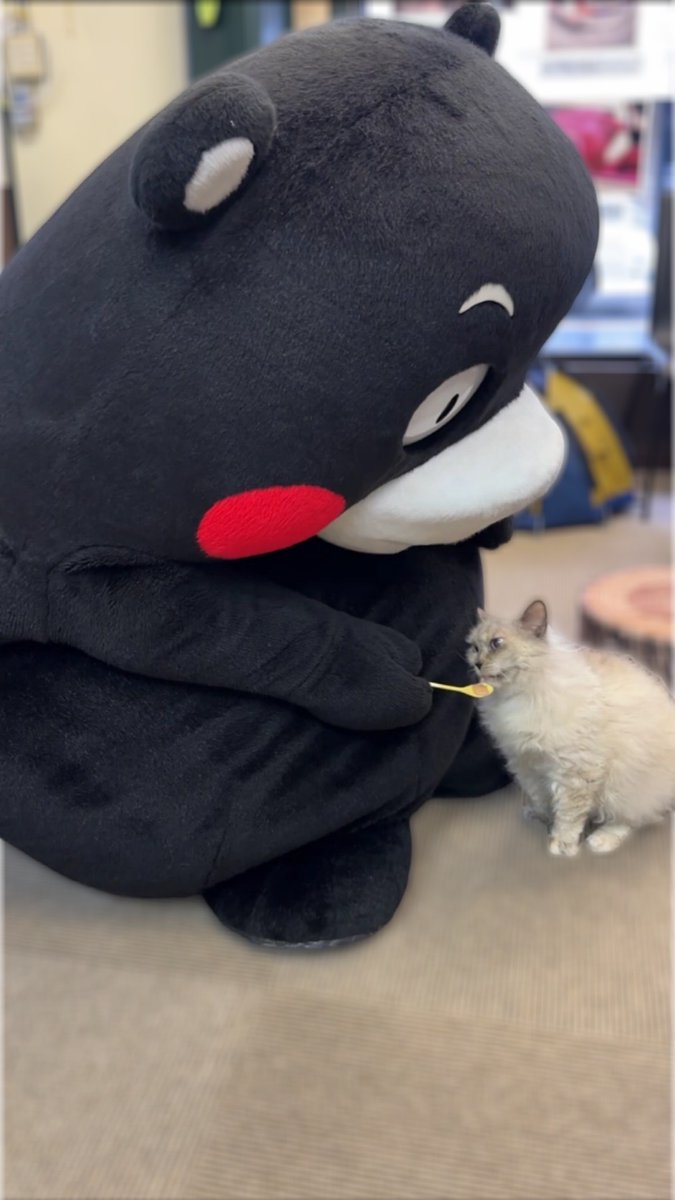 リラ@ゼクス (@relzx) / Posts / X