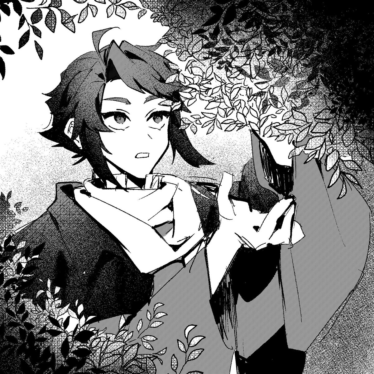 🌿.∘