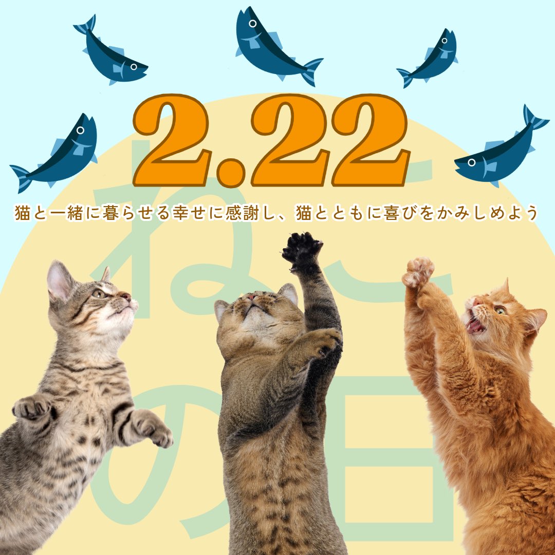 PhytoncideJapan's tweet photo. #猫の日
猫ちゃんファーストの日。
猫を愛してやまない皆さん、
猫ちゃんの幸せについて考えましょう✨🐈 https://t.co/jL9zI0ILWH