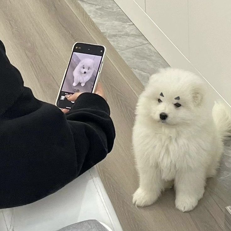 มายภาคในสายตาพี่ก้องฟ้า มีเด็กมาเช็คงาน มีเด็กอยากได้จอแอลอีดี กลัวน้องพูดไม่ทันพี่ๆ พาไปฝากตัวกับคนดนตรีทั้งวงการ พี่ก้องแสนดีมาก คนที่เลี้ยงมุมายเก่งที่สุด แม่ในเน็ตมีน้ามตา (╥﹏╥)