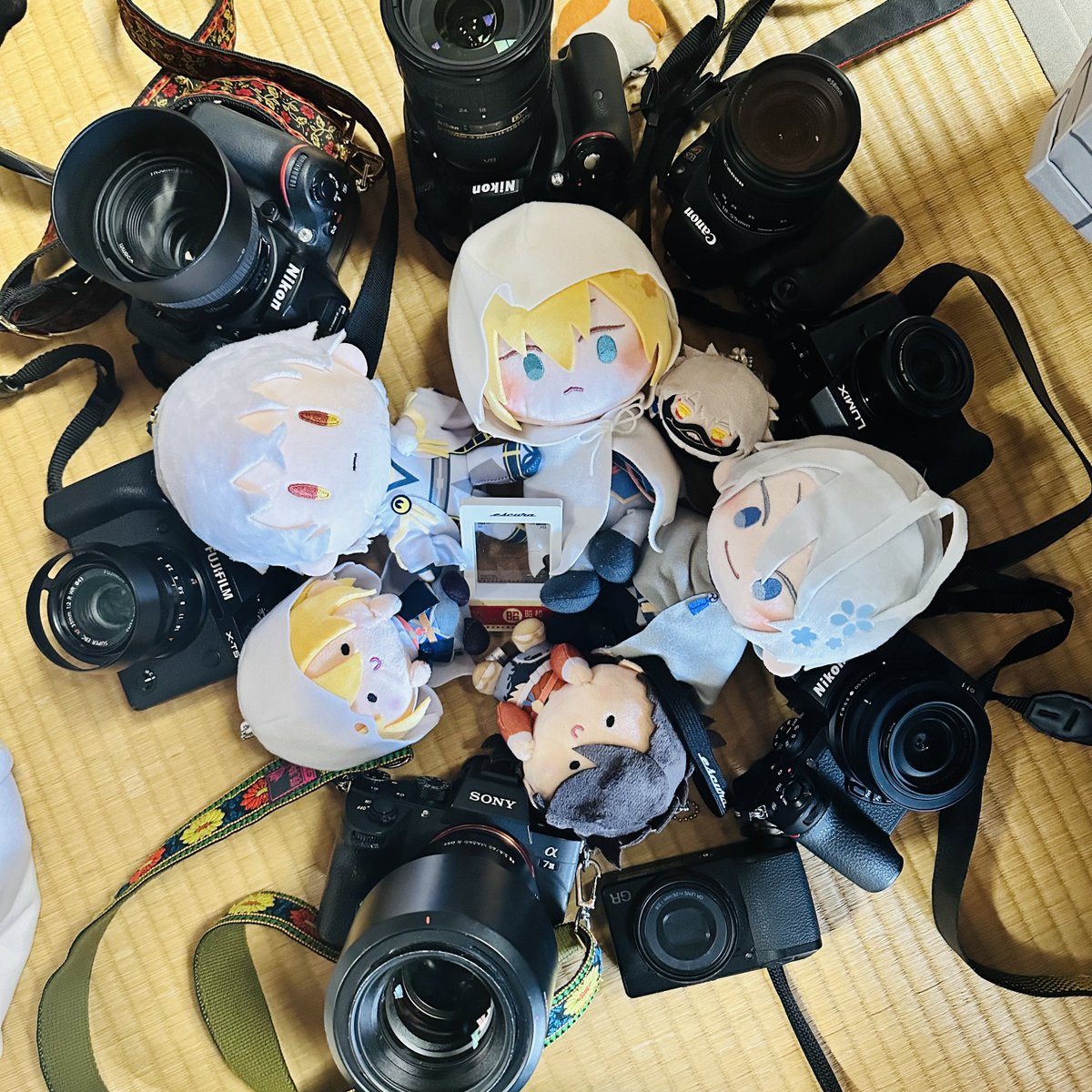 おそくほー
人数よりカメラの台数のほうが多い本丸です📸