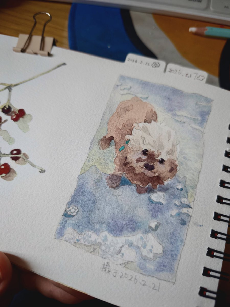 爱吃辣小狗 tweet media