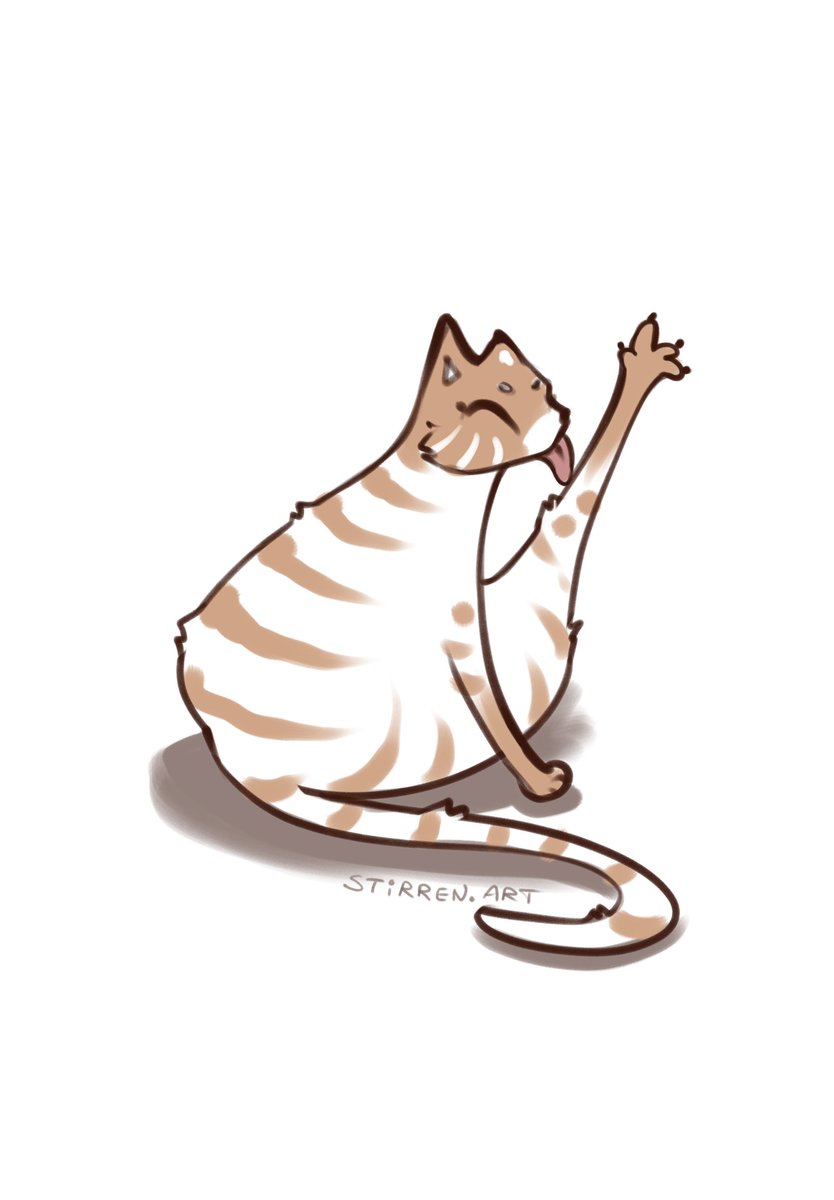 Silly random kitty 🐈