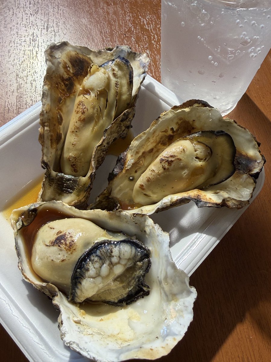 ebizou88's tweet photo. 先週は静岡でダーツJAPAN大会観て
翌日は沼津行って海鮮🦞🐟
楽しめました☺️
小旅行と兼ねると楽しみ2倍ですね🚅 https://t.co/RNzYP80tSM