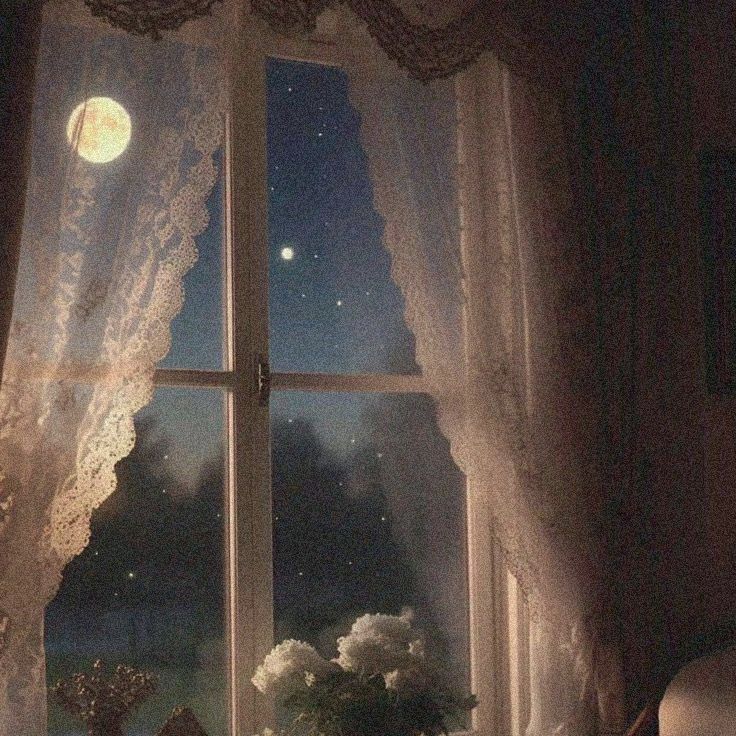 Selenia. tweet media