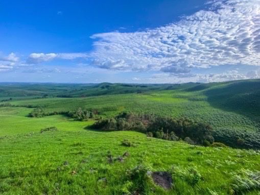 NigeriaStories's tweet photo. Ladies and gentlemen, Mambila Plateau, Taraba State, Nigeria 🇳🇬 https://t.co/Fdv2IOxRth