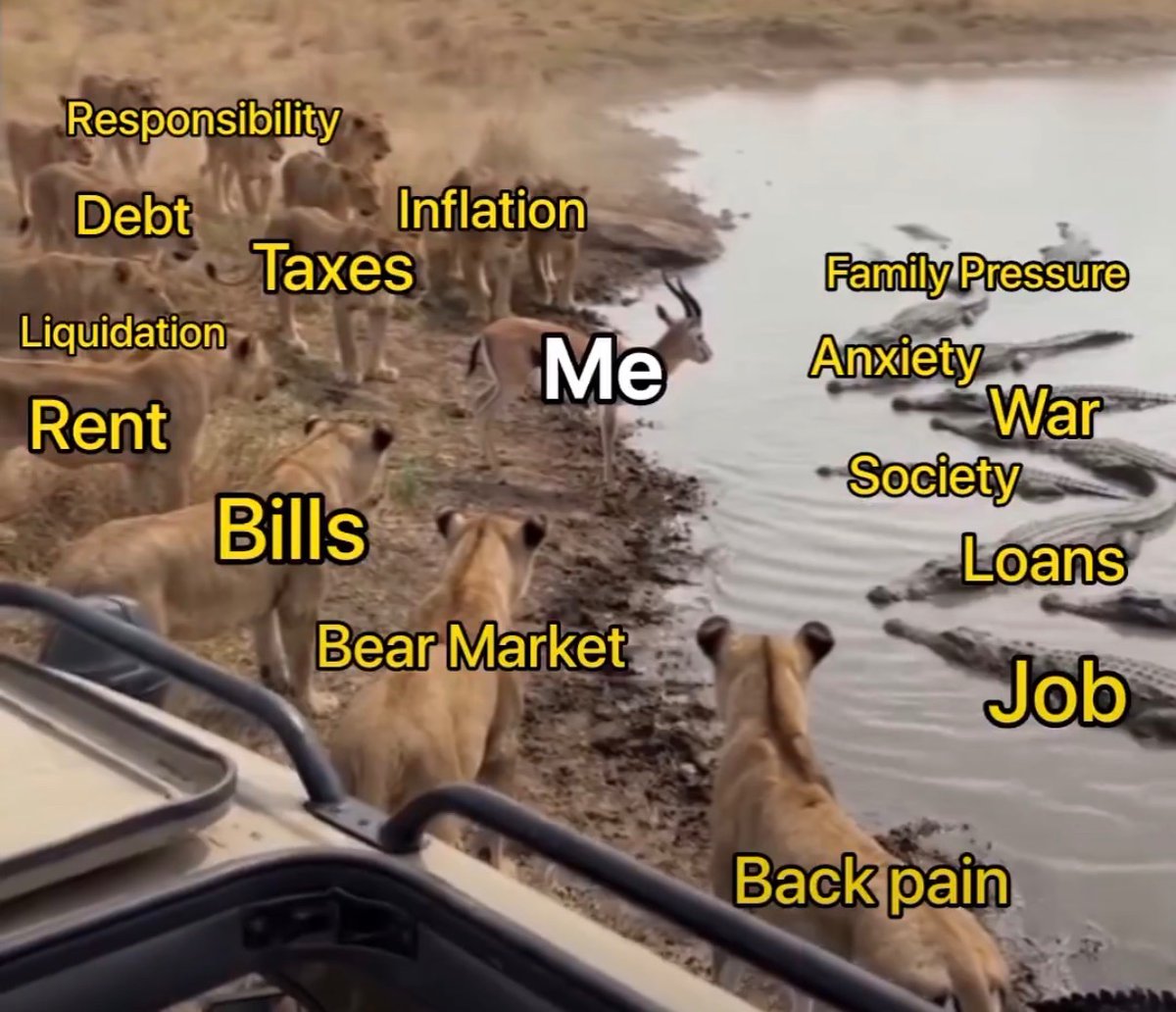 CryptoVerse Xplorer tweet media