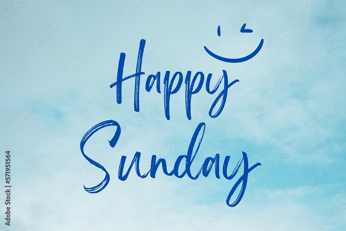 Jutta Streicher 🕊️ tweet media