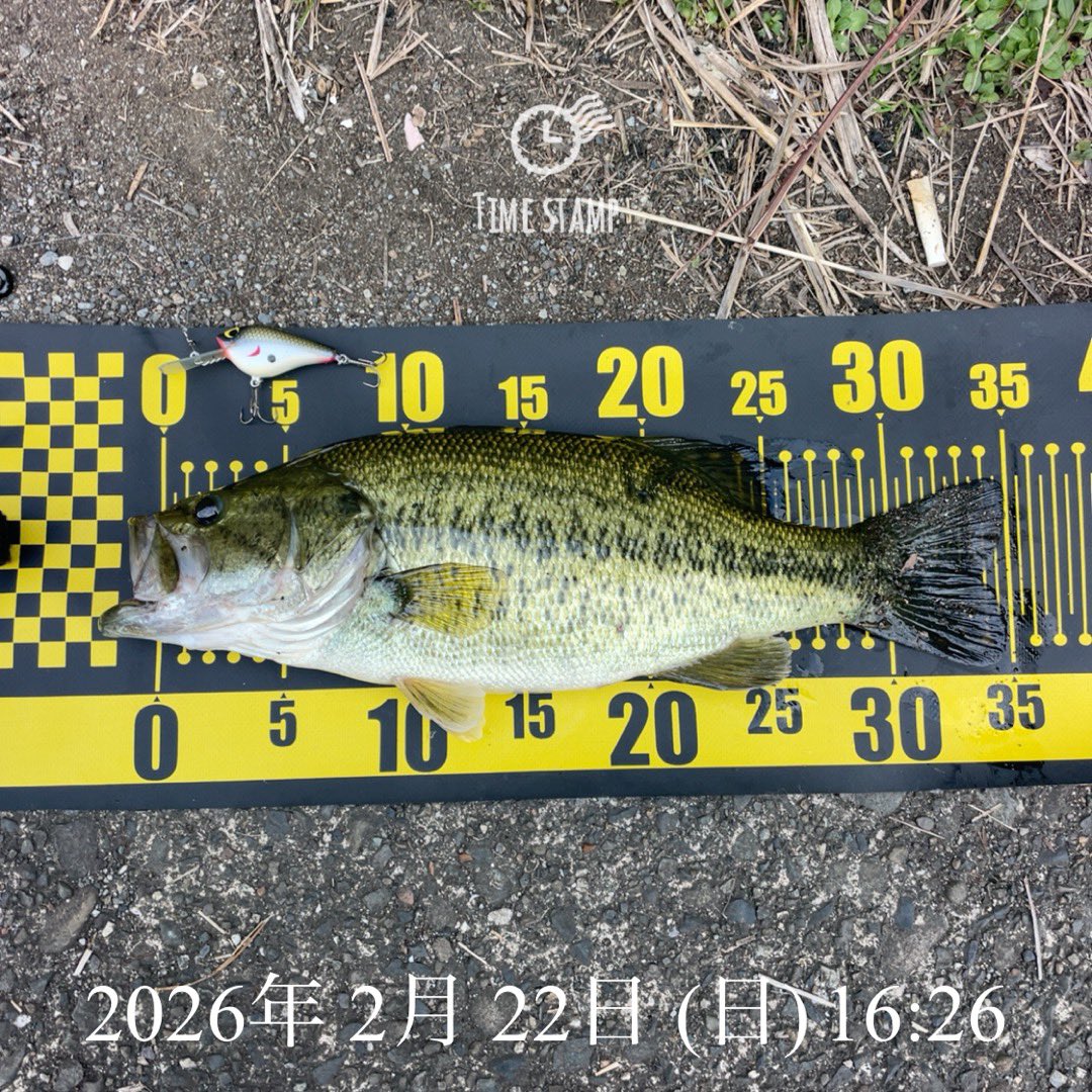 信じて投げて頂き、ありがとうございます😆 35センチでウェイイン完了