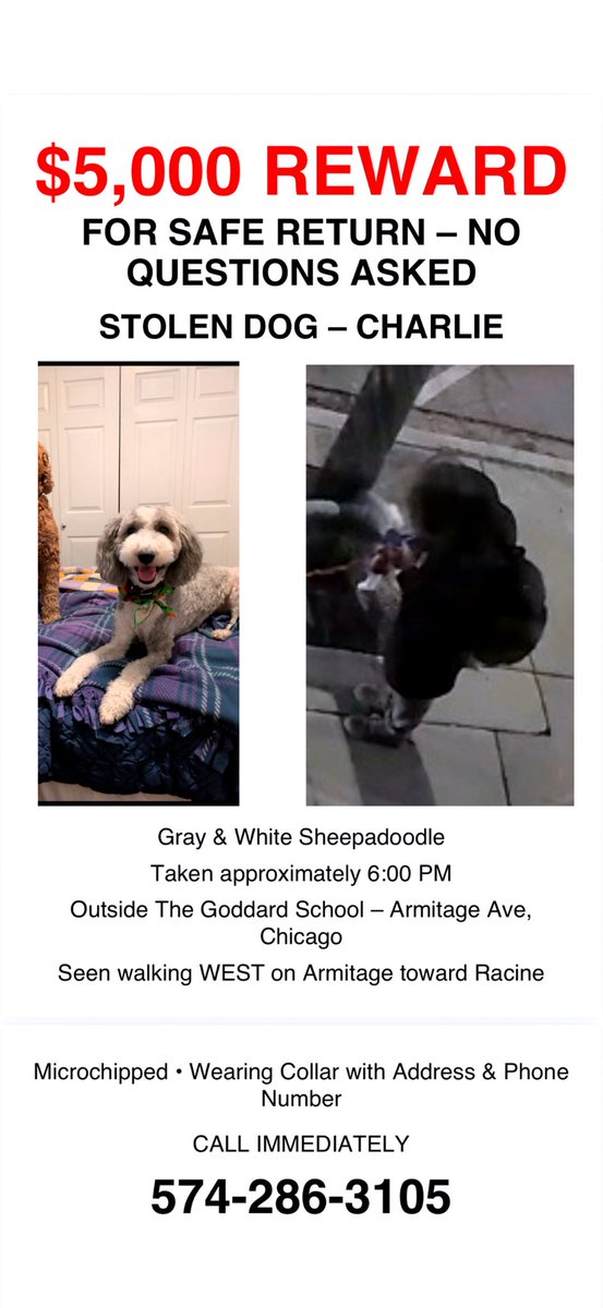 Chicago Pulse tweet media