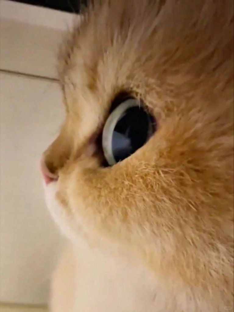 อื้อๆ ใครมันจะอยากหยิกแก้มลูอี อือ

#LOUIS #LNGSHOT