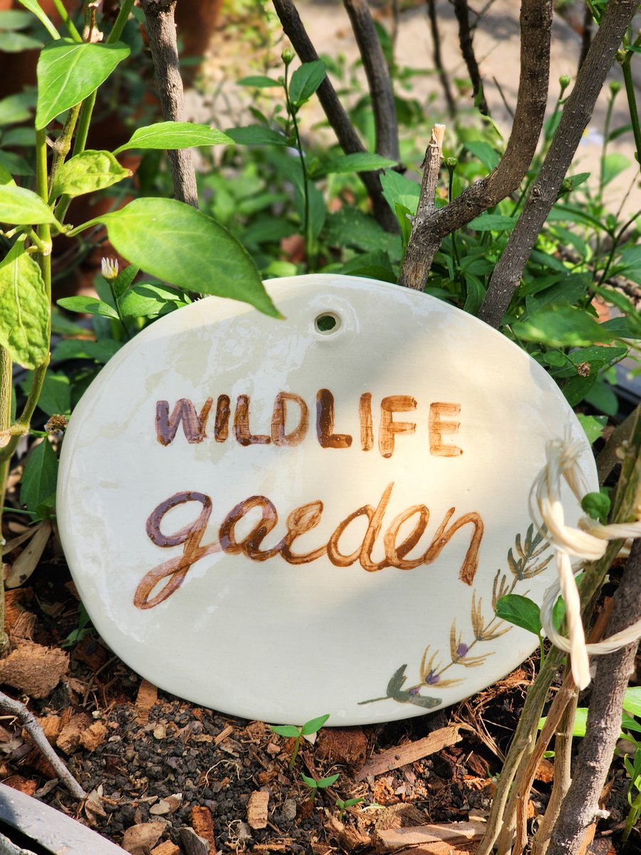 🍂 – rewilding tweet media