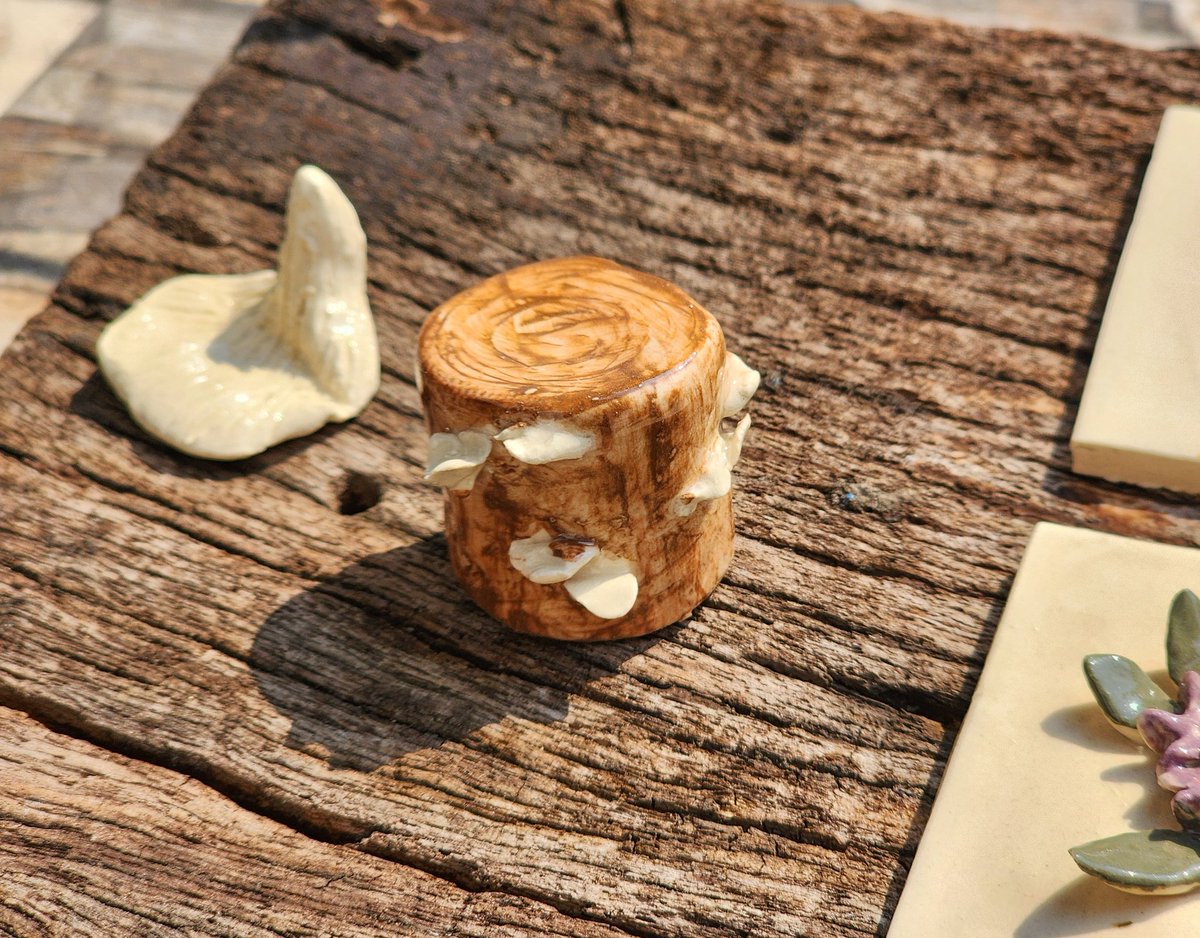 🍂 – rewilding tweet media