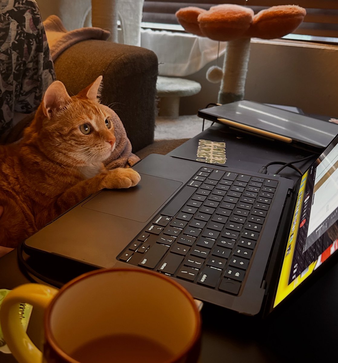 SOOF 🥐 tweet media