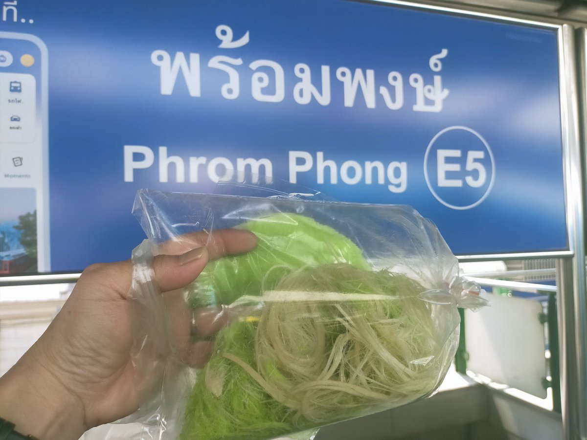 #タイで息子と珍道中

念願のロッティサイマイGET👍

アユタヤ発祥のお菓子