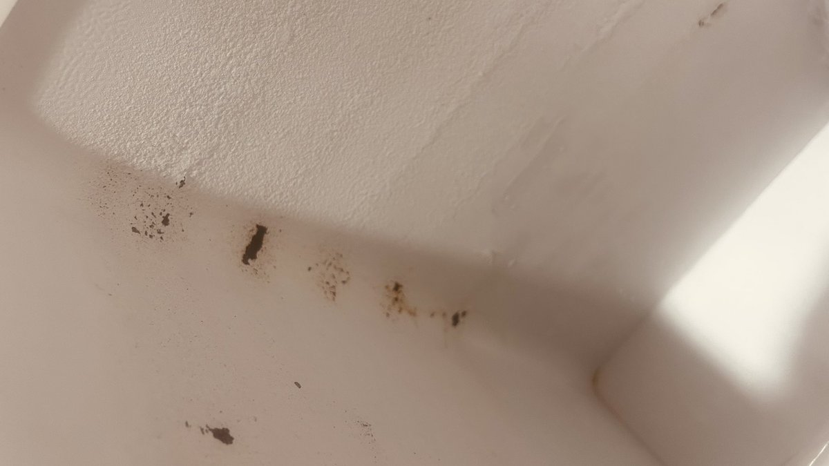 sbanerjee2204's tweet photo. @BlueStarLtd need help on the Chest cooler. Been Approaching customer care for more than 3 months. No resolution. Rusting from inside. https://t.co/sjj8c8bmjJ