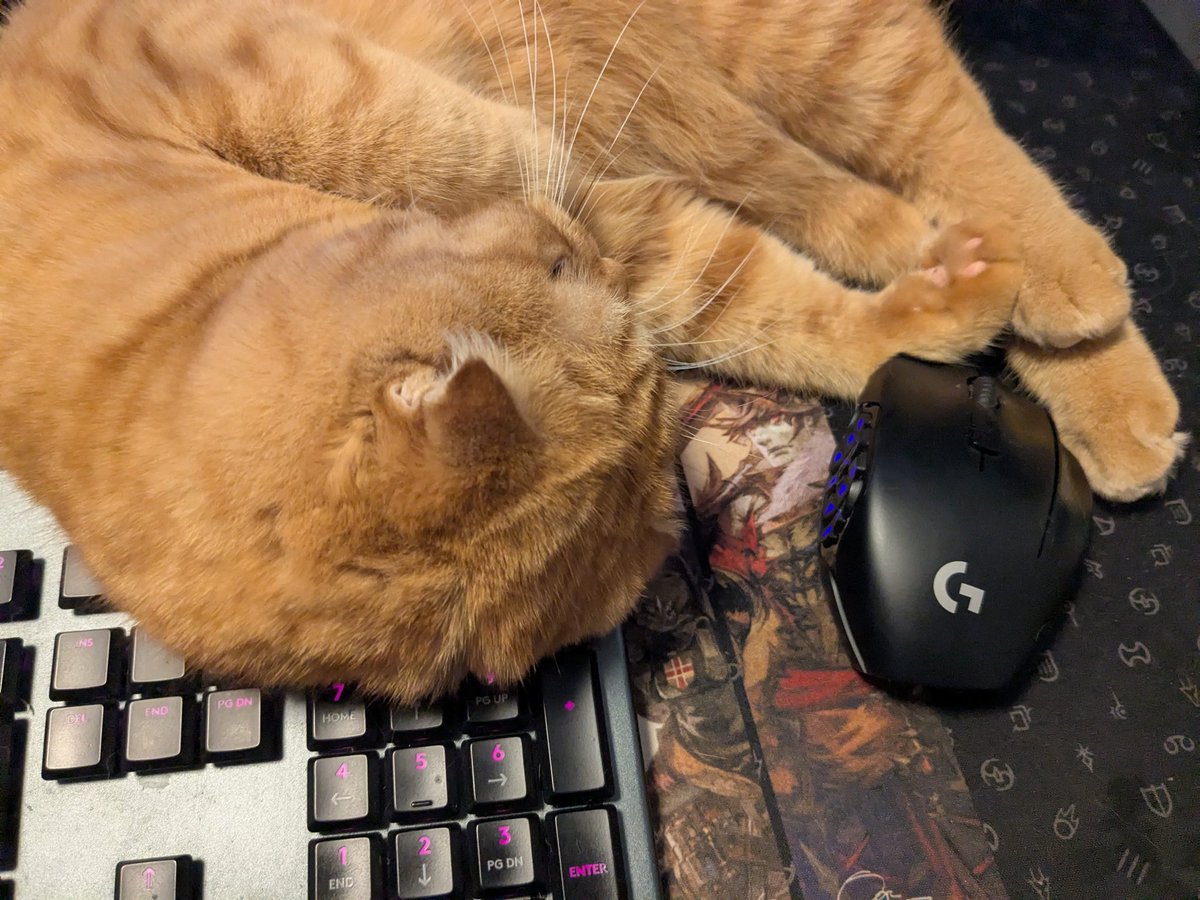 catkinak0's tweet photo. 我が家の零式最強ギミック(物理)たち。
⌚時間停止ギミック
→ディスプレイ下部の電源ボタンを可愛い表情で停止。
🧘行動制限ギミック
→甘えながらマウスの可動範囲の縮小、キーボード自動入力。
#ファイナルニャンタジー https://t.co/SkDJs6Tjn2