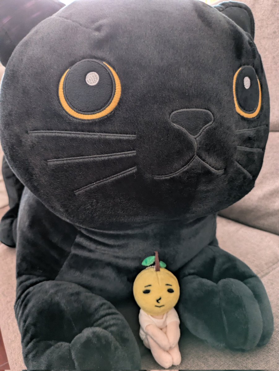 ヤマト運輸さまのキャンペーンで当選したでっかい！ねこぬいぐるみ