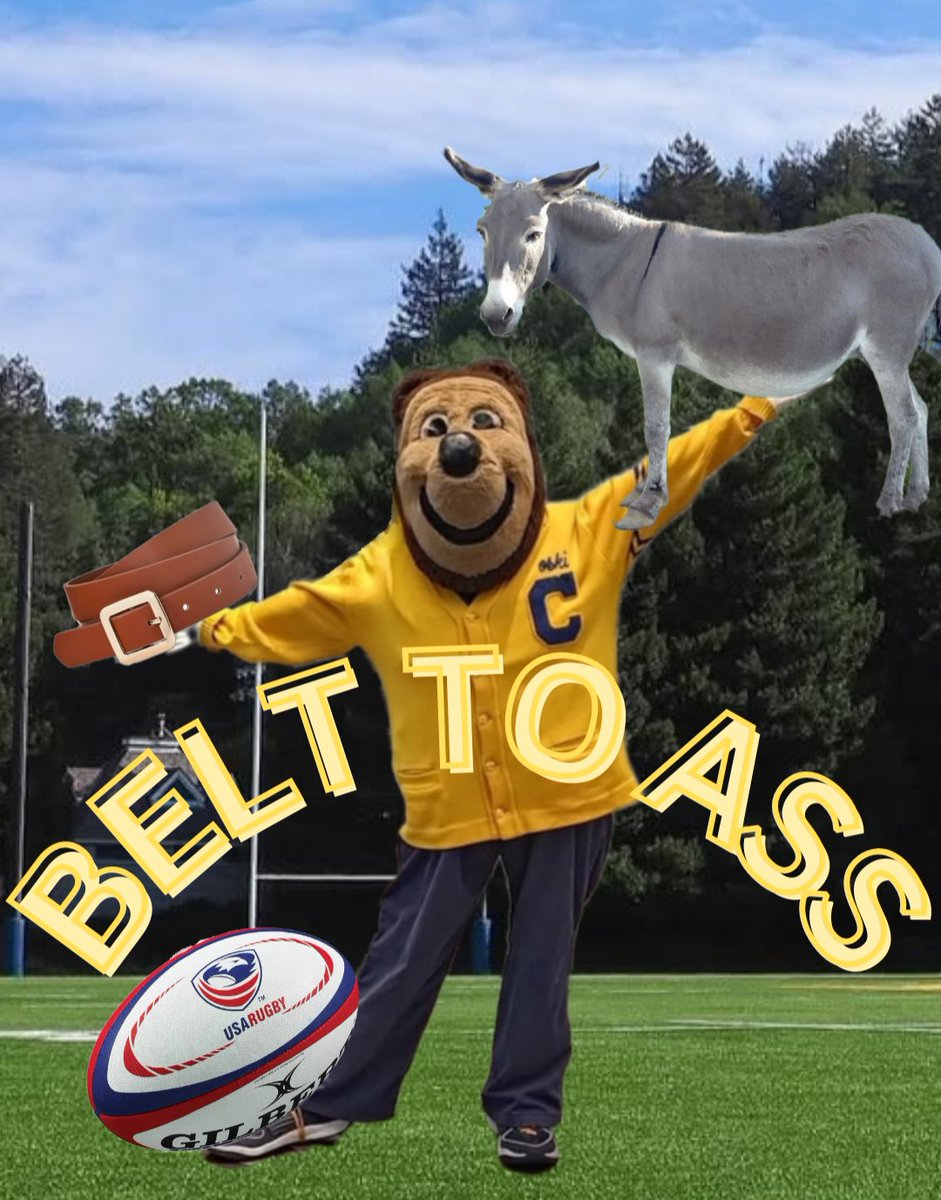 Admiral Bear tweet media