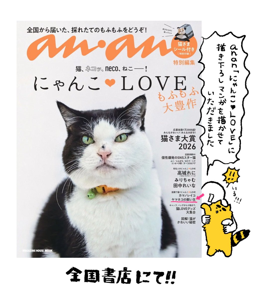 ヤマネコ (@ymnc_rf) / Posts / X