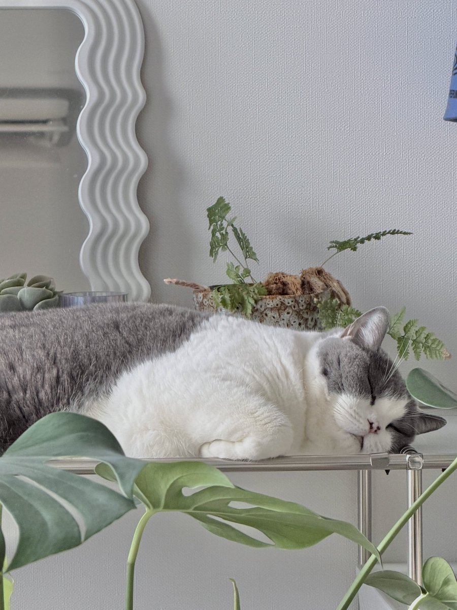 おんちゃん (@on0406) / Posts / X