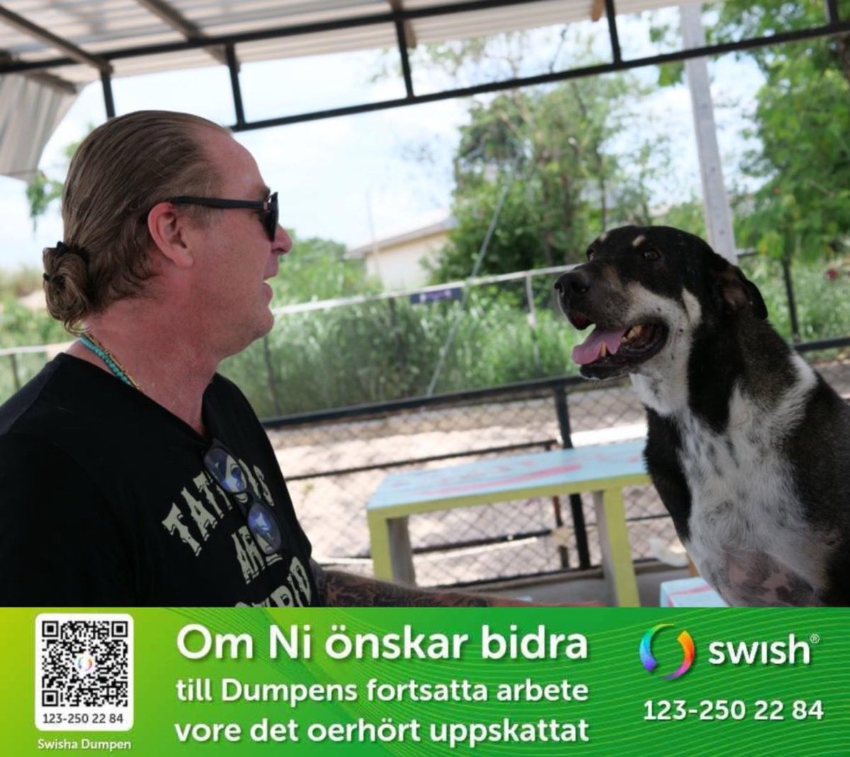 Jakten på nätets mörker – och verklighetens mötesplats

SVT:s Uppdrag granskning har med serien Jakten gjort något viktigt.

De har öppnat dörren till de där digitala källarrummen som vi på Dumpen har pratat om i fem år – men som alltför många velat avfärda som överdrifter,