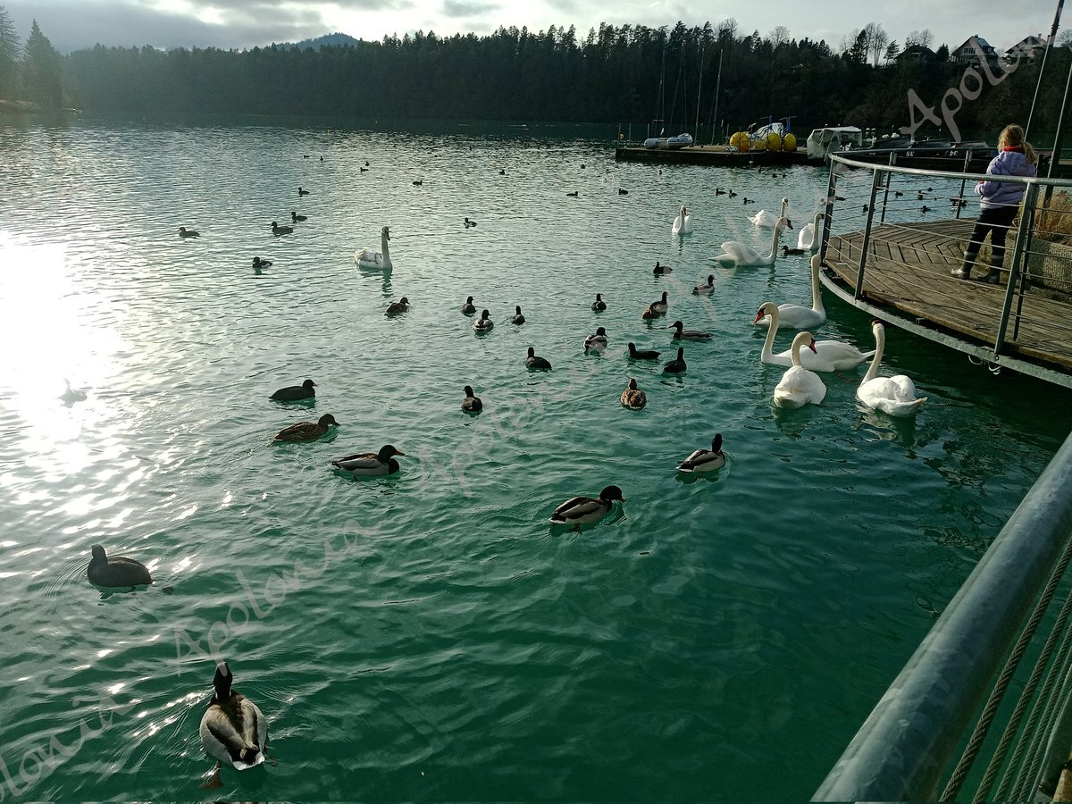 Wishing you a day filled with moments that make you smiles.
Happy sunday 🙂