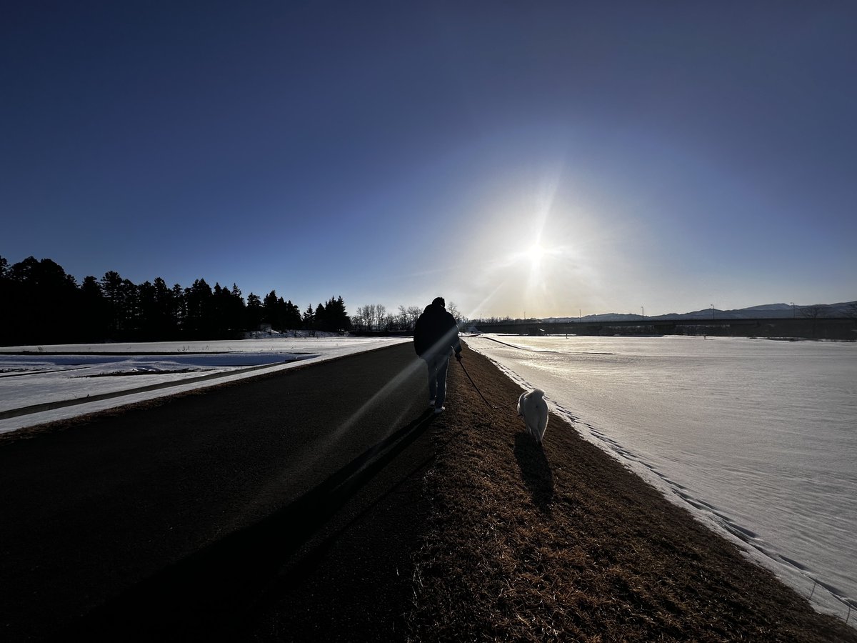 斜面散歩🐾✨️ 暑くなって雪の上で休憩✨️ 足の汚れも落ちて一石二鳥