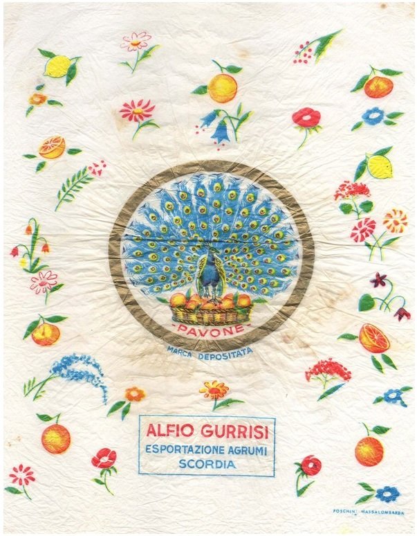 ️️ ️️ ️️ tweet media