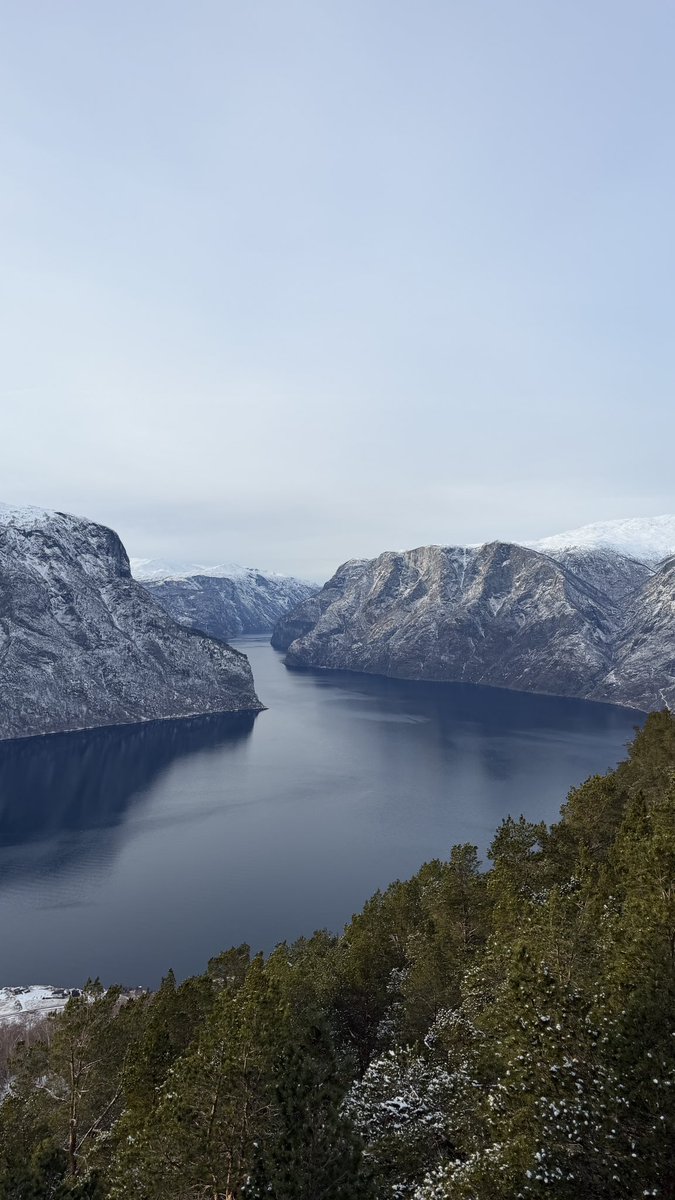 yusuke okawa (kiyoon) tweet media