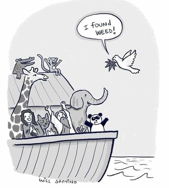 Stoner Barbie (@stonersvilla) on Twitter photo 