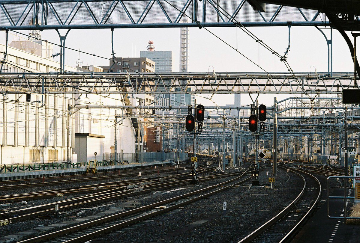 Pond@写真📷️ tweet media