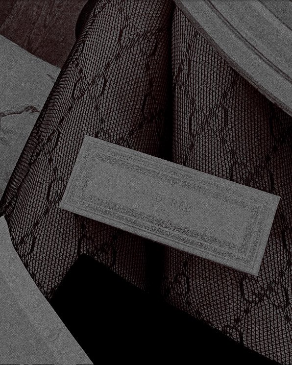 𐙚 ָ࣪ ‍ ‍‍𝒕𝒉𝒆 ‍‍ 𝒑𝒓𝒊𝒏𝒄𝒊𝒑𝒆𝒔𝒔𝒂 ‍‍ ‍‍⸃⸃ tweet media