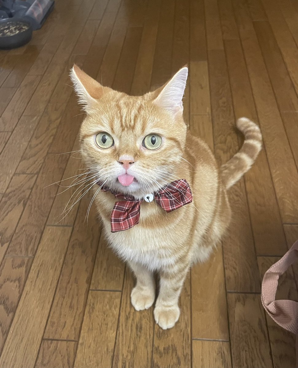 TOMOYAMASHITA (@tmooyy) / Posts / X