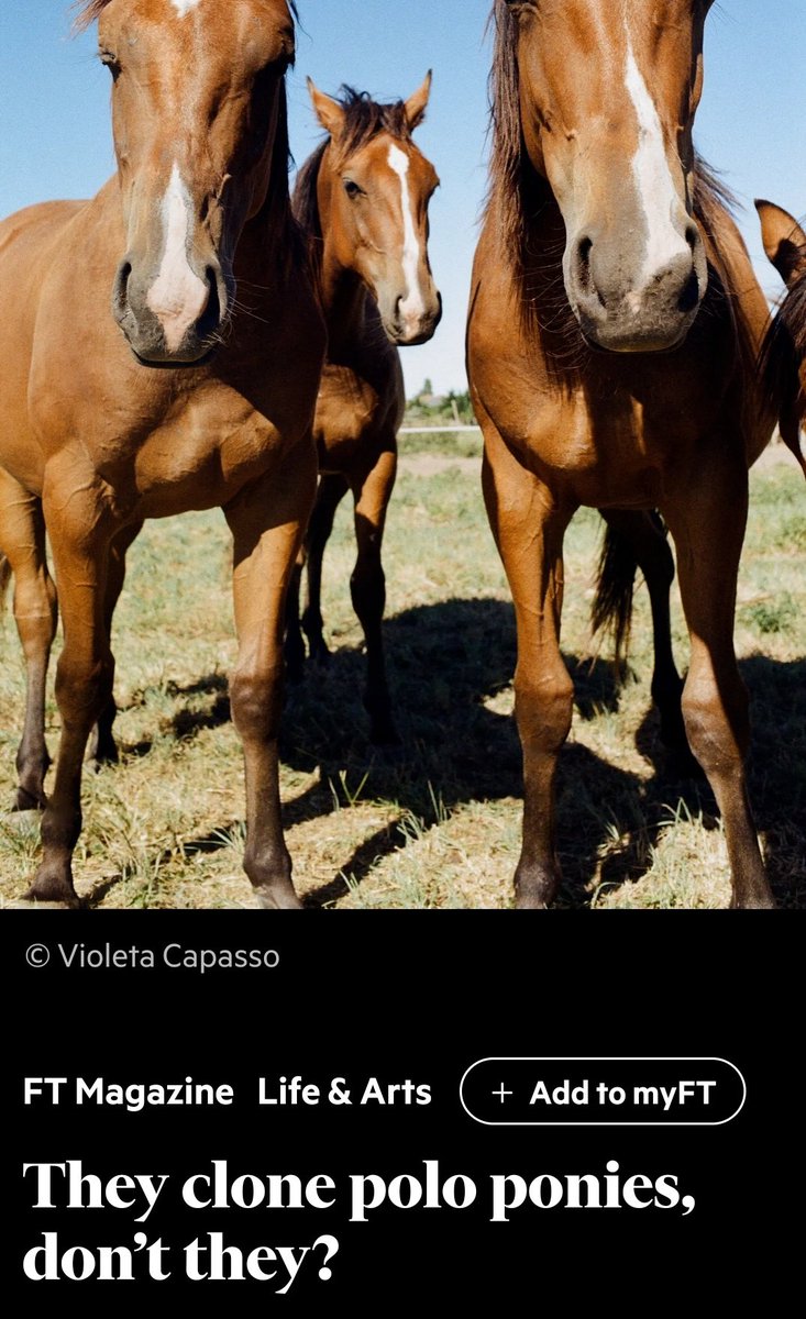 Renaud Foucart tweet media