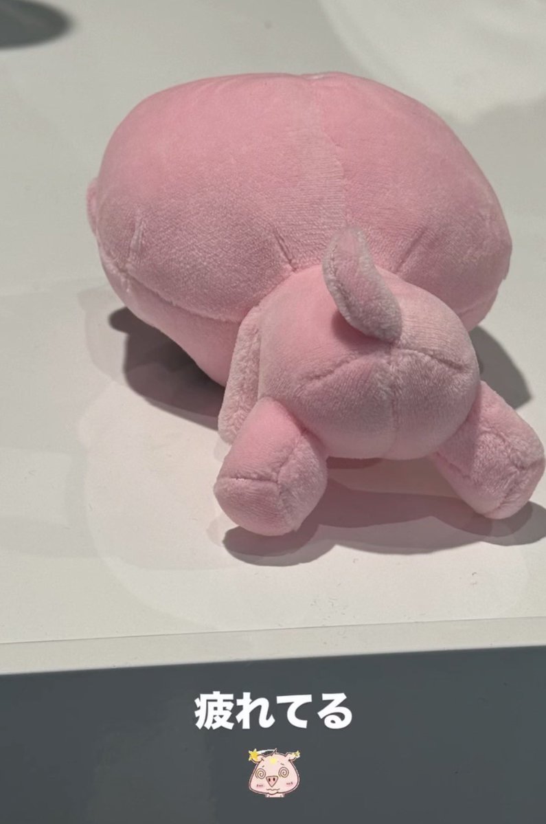 ホクブーが、登ってる……🗻☆彡 かわいいすぎる🥹♡⸝⸝ #吉野北人