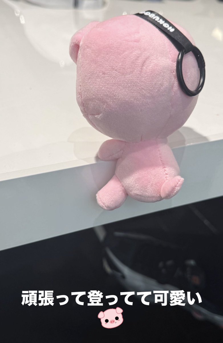 ホクブーが、登ってる……🗻☆彡 かわいいすぎる🥹♡⸝⸝ #吉野北人