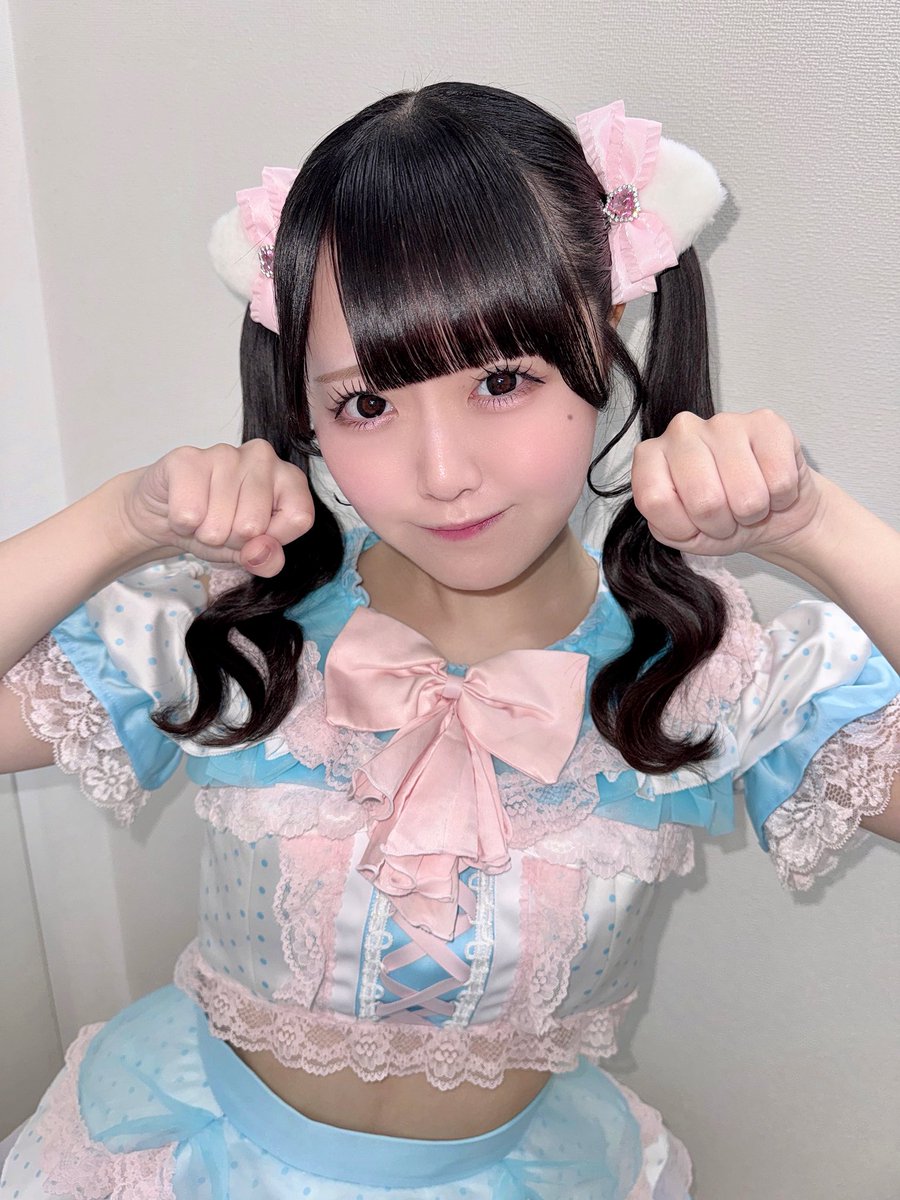 手のかかるタイプのねこちゃんです🐾