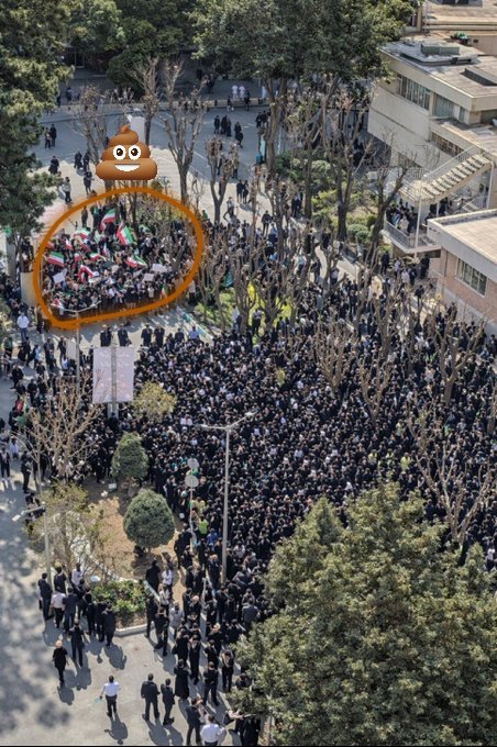Taraneh Javidian tweet media
