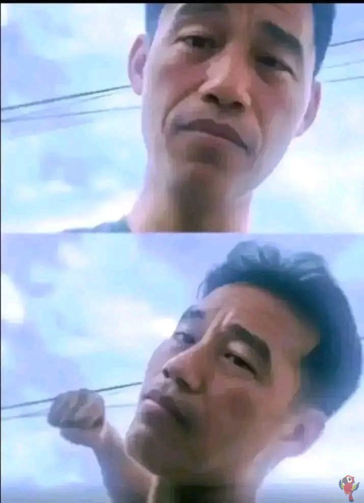 UNICEMFS tweet media