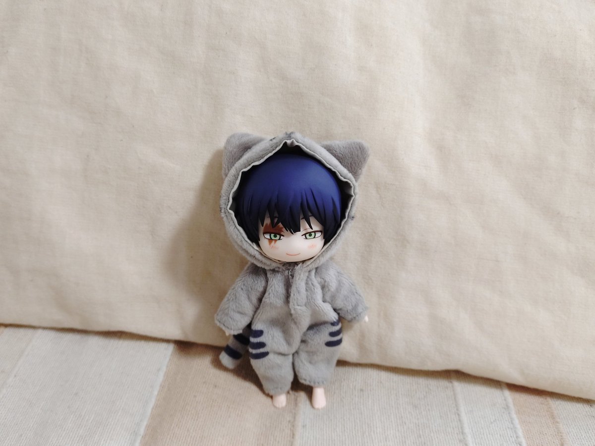 ねこちゃんが来たねえ…… 🐦‍⬛35歳にさせる格好じゃないんだよねえ