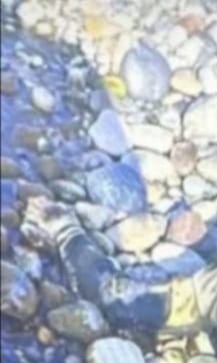 Akay.Zewe tweet media