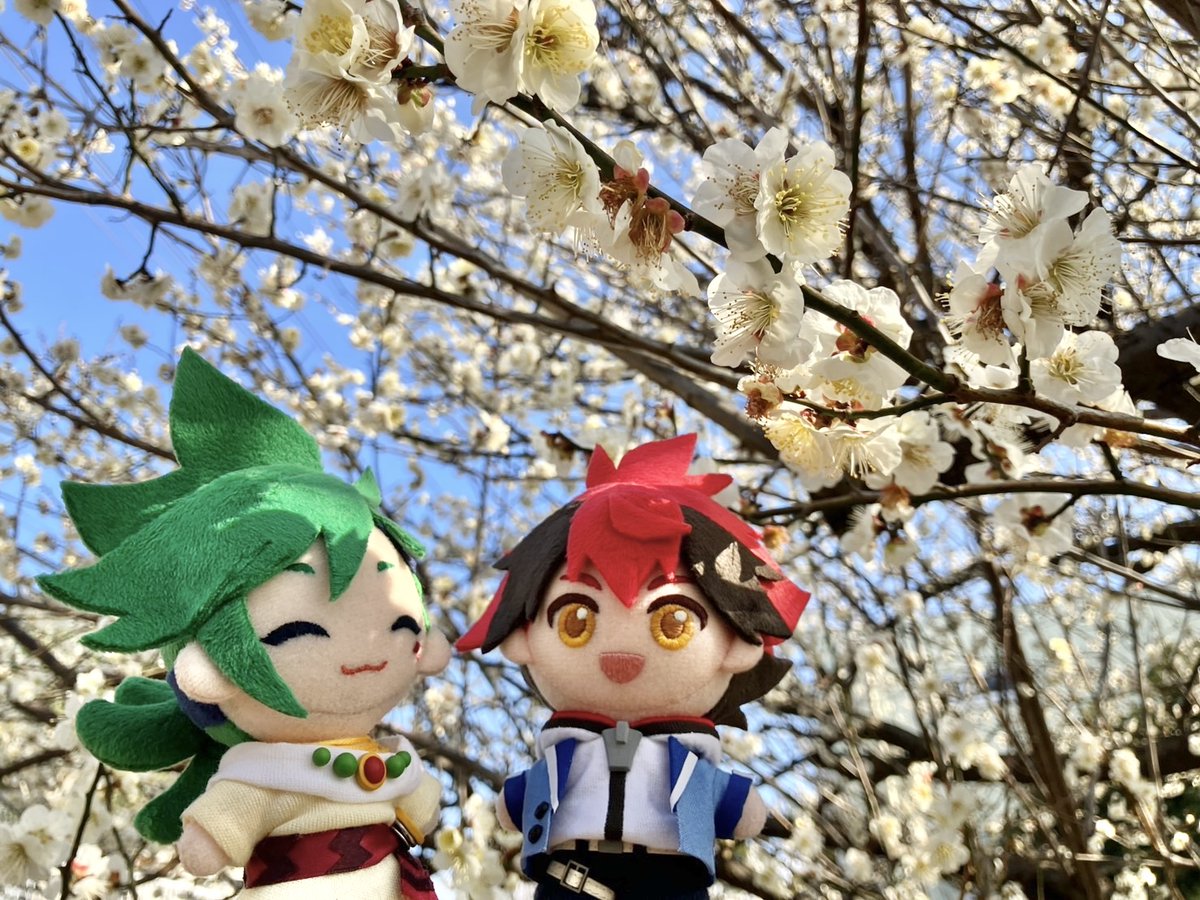 riku___son's tweet photo. https://t.co/NBKIkBAN8s