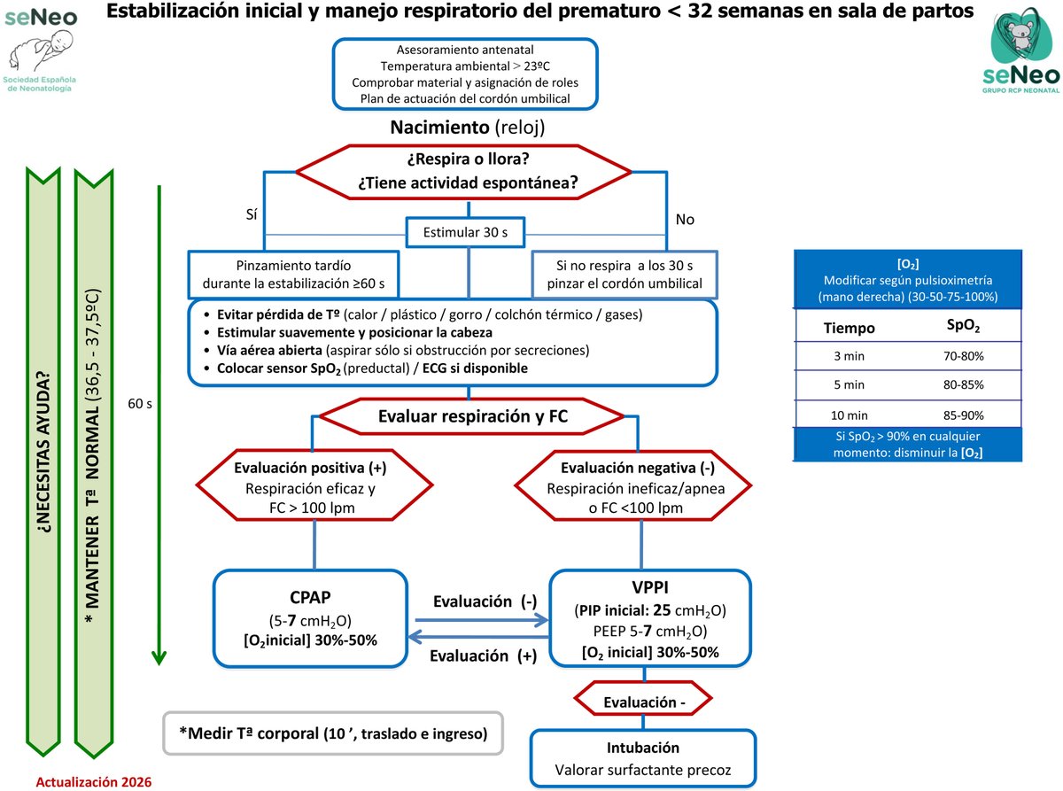 Cuidandoneonato's tweet photo. ¿Sabías que  ya se han publicado las recomendaciones españolas de reanimación y estabilización neonatal 2026? @aepediatria @SENeonatologia 🧐

Repasamos los cambios en el algoritmo general y el manejo específico en prematuros  <32 semanas

Léelo AQUÍ ➡️https://t.co/U512mFEBxH https://t.co/t2GxI8bLrF