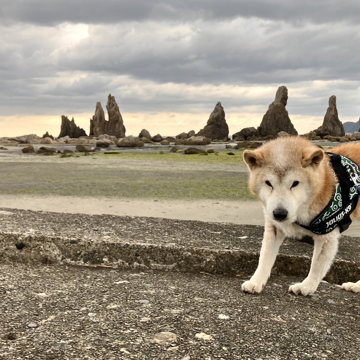 くしもと橋杭岩にて。