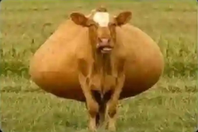 Majority of our Muslims bro &amp;sis at night during Ramadhan 🤣🤣