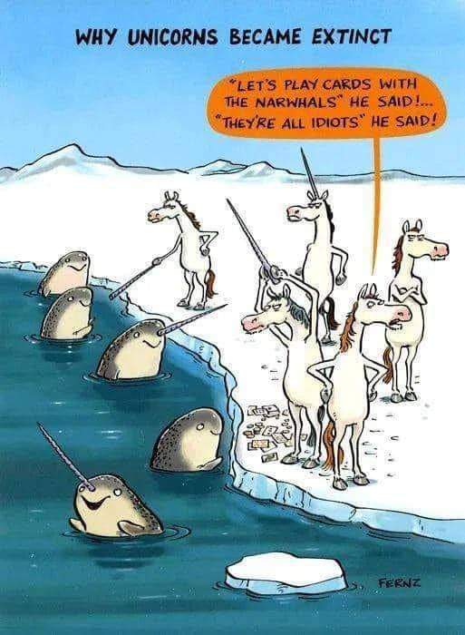 Shakespeare in a Suitcase📚 🎭 tweet media