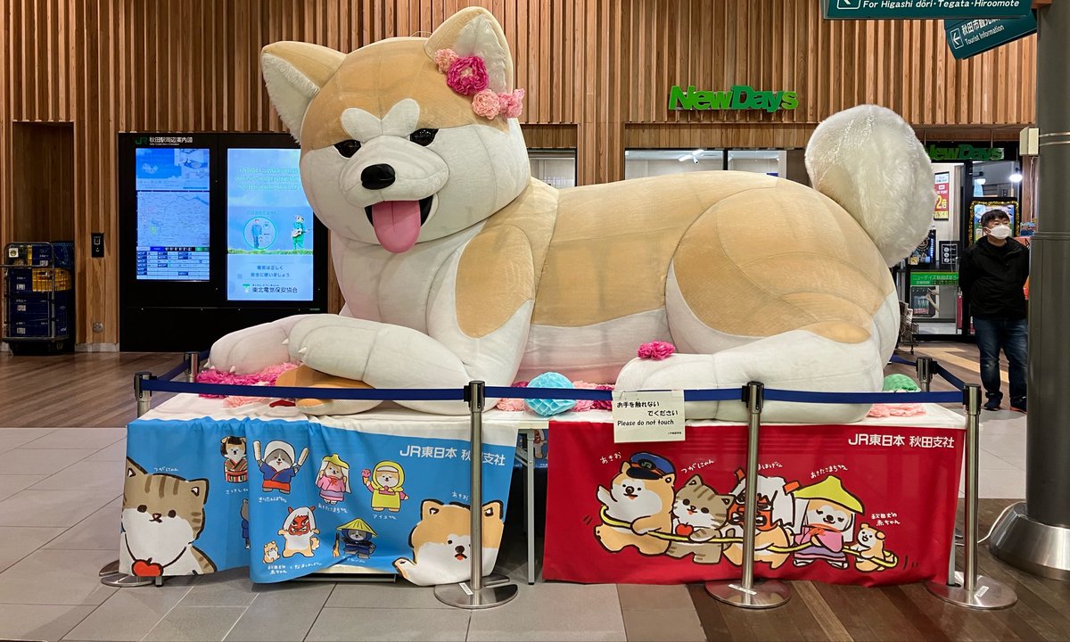 Post by Taka on X: え？これが？